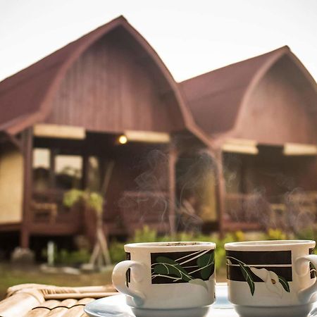 Lia Jaya Bungalows Gili Meno Buitenkant foto