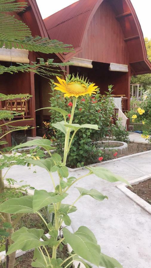 Lia Jaya Bungalows Gili Meno Buitenkant foto